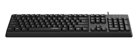 Проводная клавиатура Rapoo NK1900 Черный