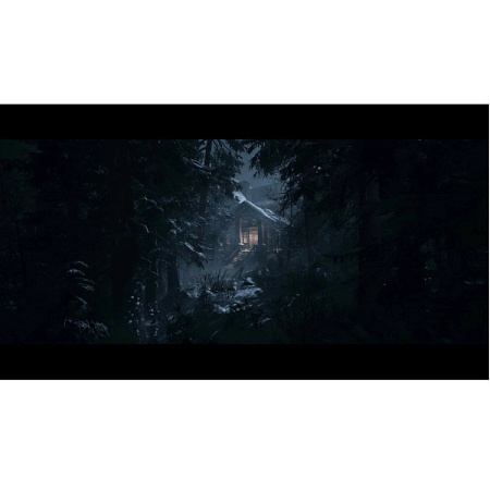 Игра для PS5 Until Dawn (Русская версия)