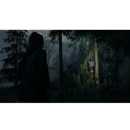 Игра для PS5 Alan Wake 2 (Русские субтитры)