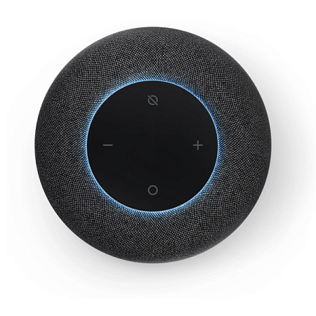 Умная колонка VK Капсула мини с голосовым помощником "Маруся" (MRC02BK) Серый