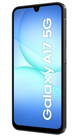 Смартфон Samsung Galaxy A17 5G 8/256GB SM-A176 Black (Черный)