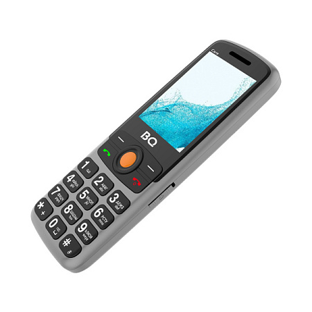Телефон BQ 2459 Care Gray (Серый)